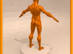 realistic male muscle 3D Model