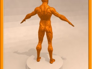 realistic male muscle 3D Model