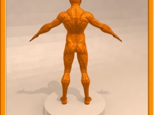 realistic male muscle 3D Model