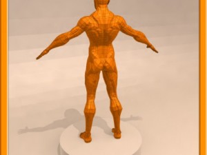 realistic male muscle 3D Model
