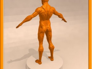 realistic male muscle 3D Model