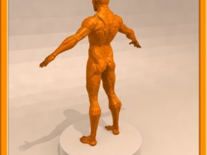realistic male muscle 3D Model