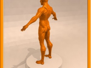 realistic male muscle 3D Model