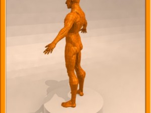 realistic male muscle 3D Model
