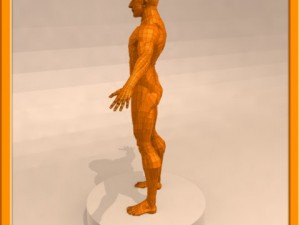 realistic male muscle 3D Model
