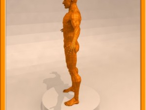 realistic male muscle 3D Model