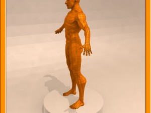 realistic male muscle 3D Model