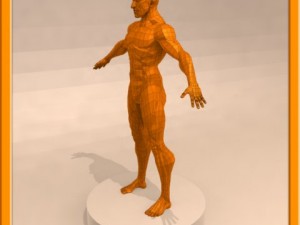 realistic male muscle 3D Model