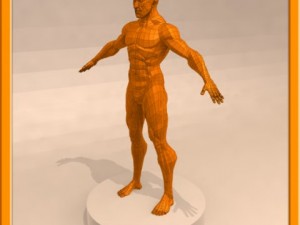 realistic male muscle 3D Model