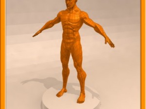 realistic male muscle 3D Model