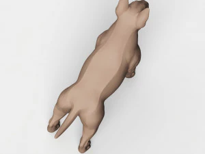 STL CNC Router file 3dprintable Bull Terrier 3D Print Model