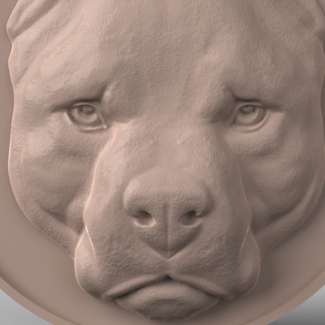 Pitbull pendant shop