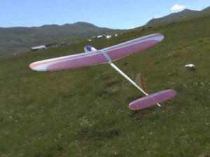 modelo de planador Modelo 3D