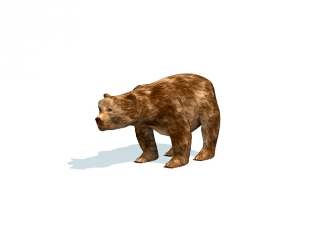 bear 3D Модель .c4d .max .obj .3ds .fbx .stl .blend 