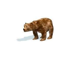 orso Modello 3D