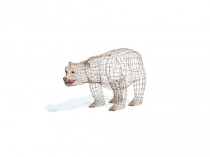 bear 3D Модель