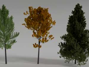 generic realistic tree set 3D Model