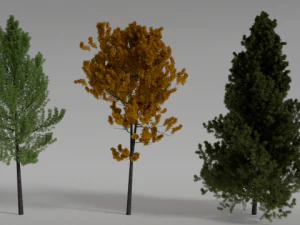 일반적인 현실적인 트리 세트 3D 모델