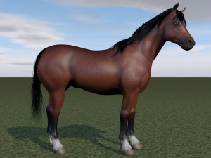 horse rigging Model 3D