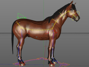 horse rigging 3D Model