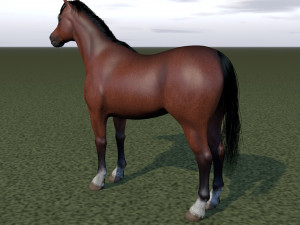 horse rigging 3D Model