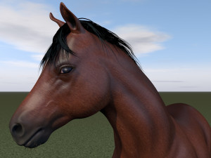 horse rigging 3D Model