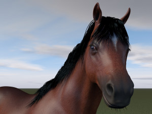 horse rigging 3D Model