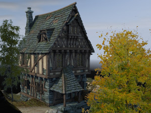 medieval watermill Modèle 3D