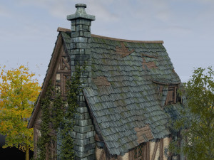 medieval watermill Modèle 3D