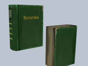 fentasy books and papers 3D Model