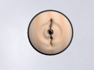 Toy female vagina 3D Model