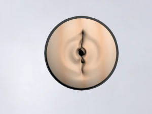 Toy female vagina 3D Model