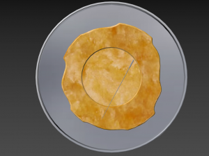 squid game cookies 3D Model