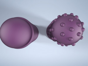Clitofing purple Modelo 3D