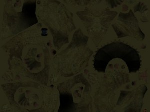 triceratops 3D-Modell