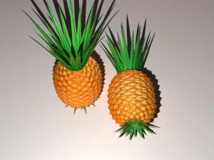 pineapple 3D Model