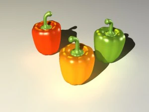 capsicum 3D Model