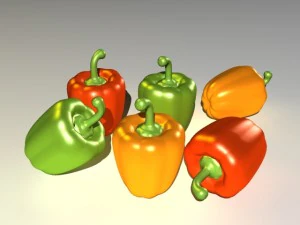 capsicum 3D Model