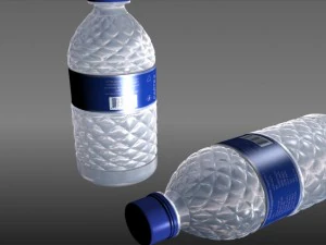 mum bottle 3D Model