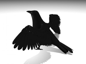 crow 3D Model