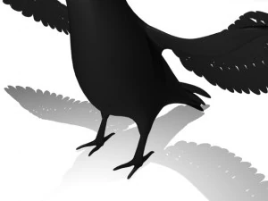 corbeau Modèle 3D
