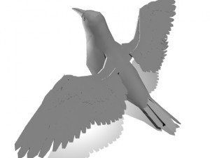crow Modelo 3D
