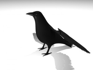 crow Modelo 3D