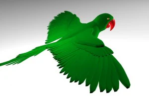 앵무새 3D 모델