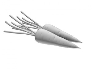 Carrot 3D 模型