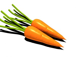 Carrot 3D 模型