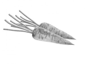 Carrot 3D 模型