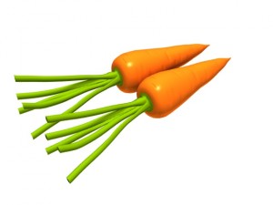 Carrot 3D 模型