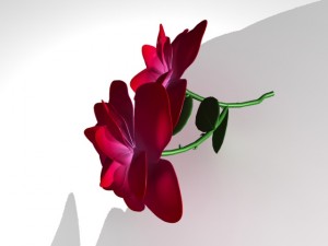 3d rose 3D Модель