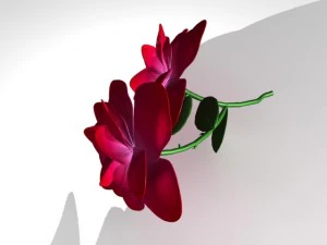 3d rose 3D Model